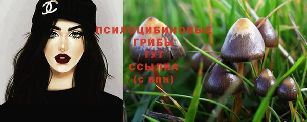 PSILOCYBIN Абдулино