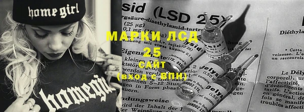 PSILOCYBIN Абдулино