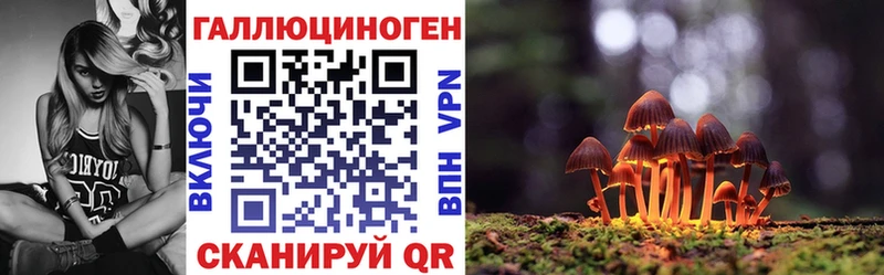 сколько стоит  Шебекино  Псилоцибиновые грибы Cubensis 